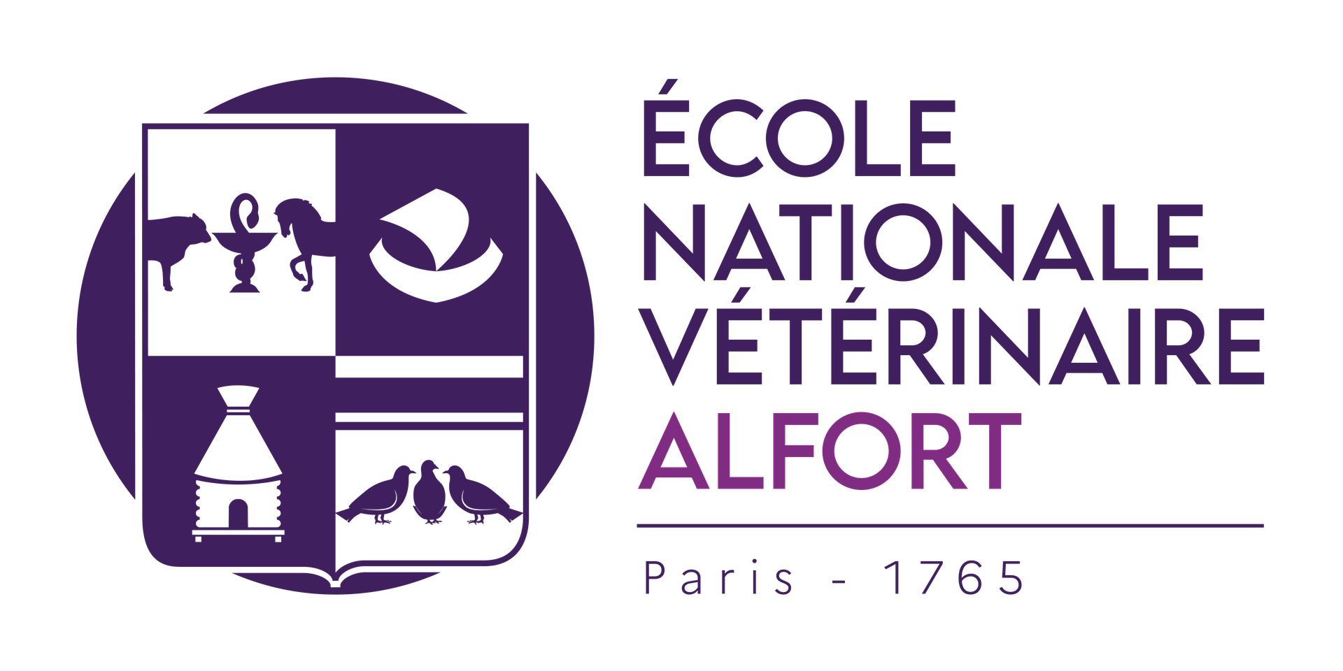 Logo ENVA